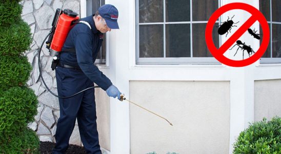 Taraklı Fare İlaçlama böcek ilaçlama ve haşere kontrolü — ilaclama-tr.com